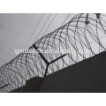 China Supply Meilleure vente Flexible Razor Wire Mesh / anti-theft razor barbed wire